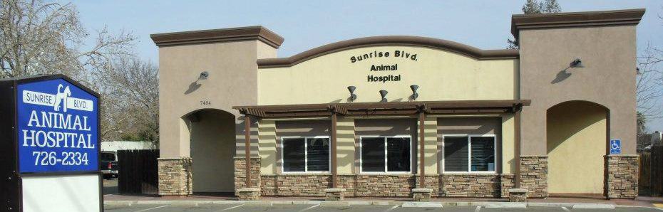 Sunrise Boulevard Animal Hospital building Sunrise Boulevard Animal Hospital building
