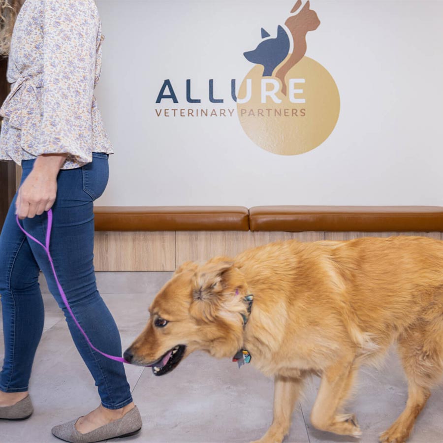 Allure Veterinary Partners