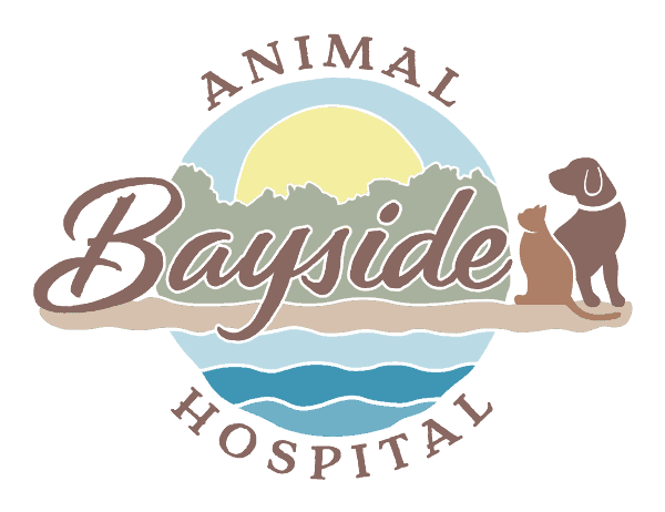 Bayside Animal Hospital Bayside Animal Hospital