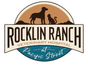 Rocklin Ranch Veterinary Hospital at Pacific Street Rocklin Ranch Veterinary Hospital at Pacific Street